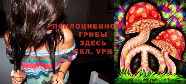 мет Абаза