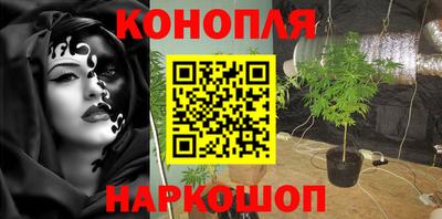 мяу мяу мука Лесосибирск