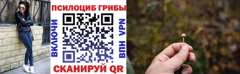 Галлюциногенные грибы Cubensis  закладки  Егорьевск 