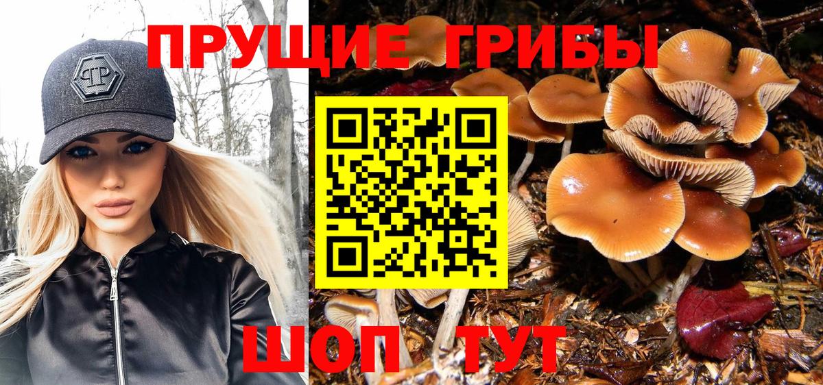 цена   Галлюциногенные грибы Psilocybe  Вход с VPN  Егорьевск 